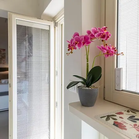 Maggiore Terra +terrace Daire Colazza