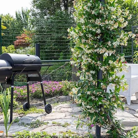 Maggiore Terra +terrace Daire Colazza